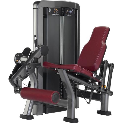 Leg Extension - Usato Life Fitness Insignia - Wellness Outlet